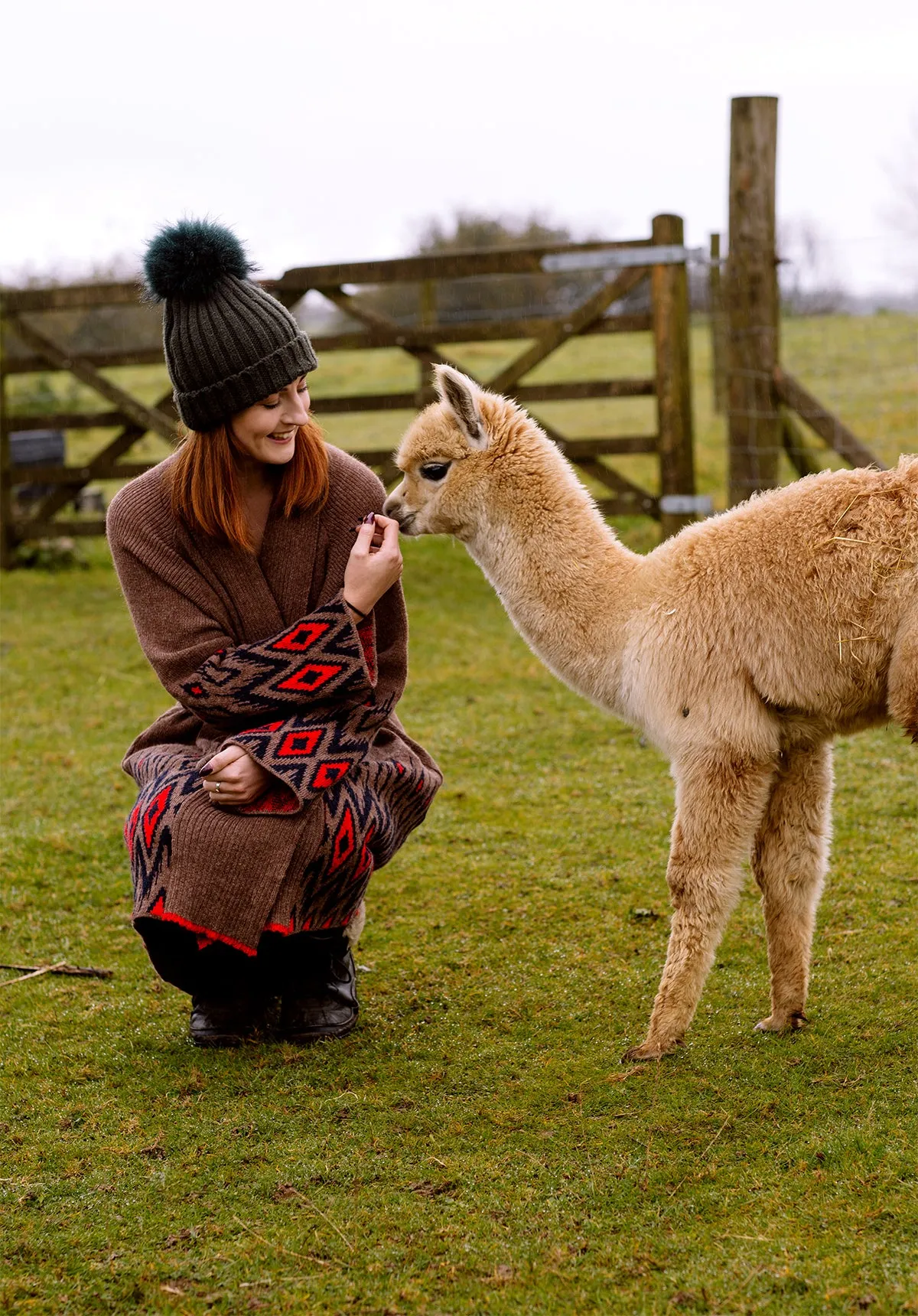 Alpaca Coatigan in Earth - Sale